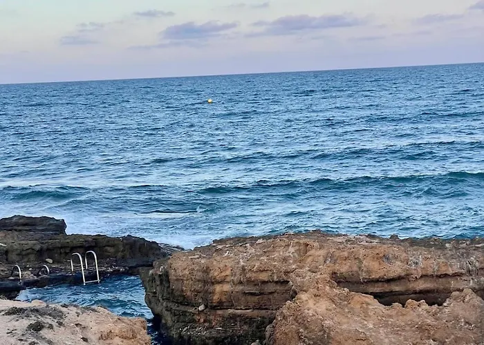 Sunny Terrace & Bbq 또레비에하