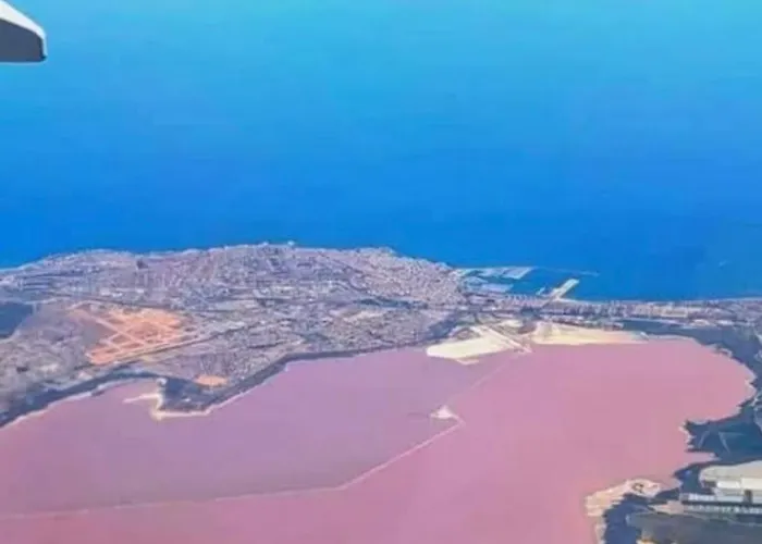 아파트 Sunny Terrace & Bbq