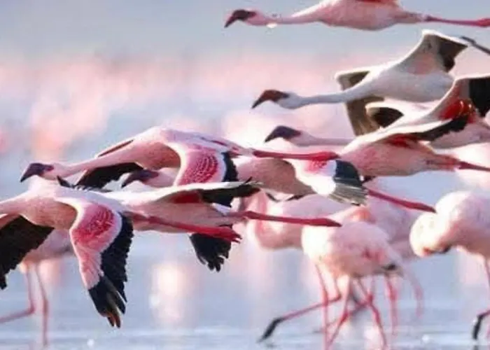 아파트 Sunny Terrace & Bbq 또레비에하